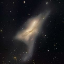 The Colliding Galaxies of NGC 520