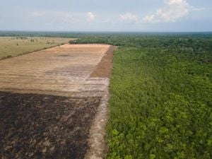 Brazil’s Biofuels Pledge Sparks Global Deforestation Concerns