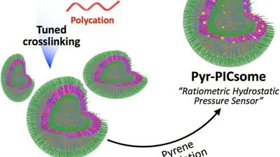 Ayarlanabilir Nanosensörler Su Basıncını Floresan Sinyallere Nasıl Dönüştürüyor?