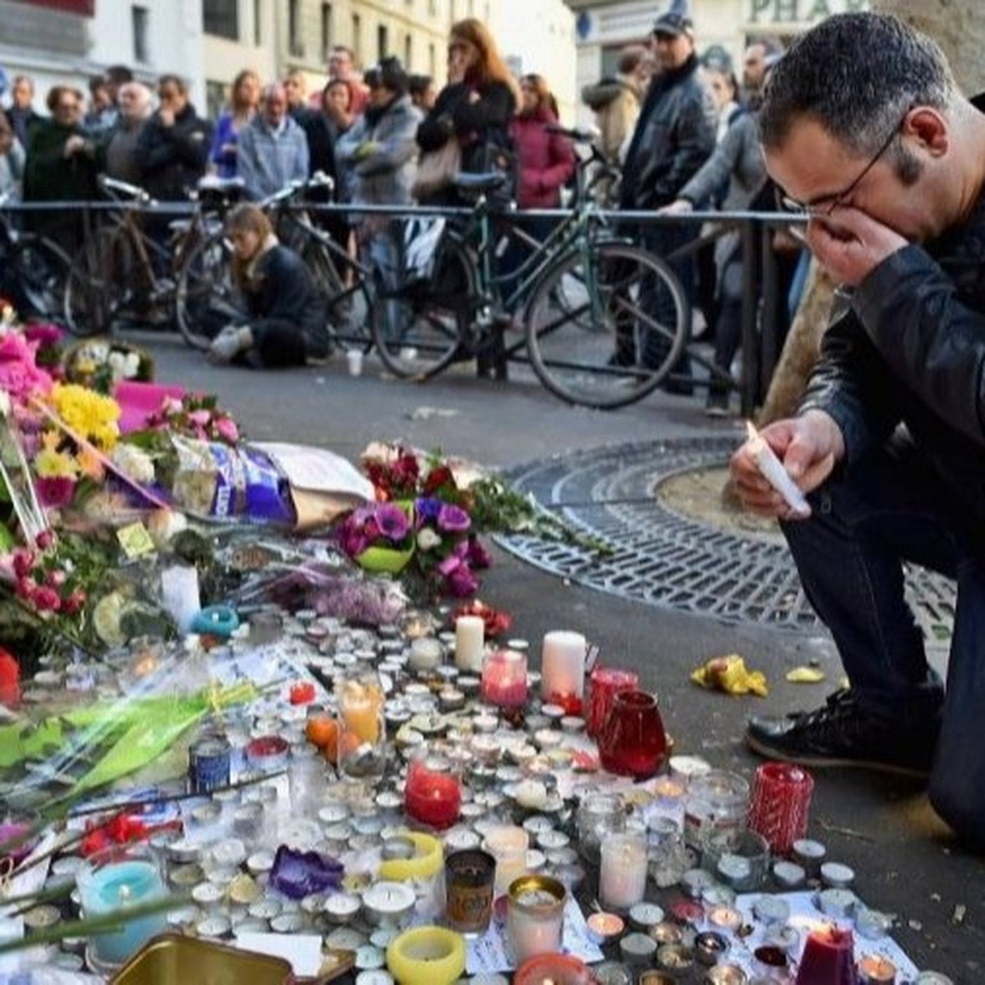 Evrim Ağacı ile Bilime Dair Her Şey!