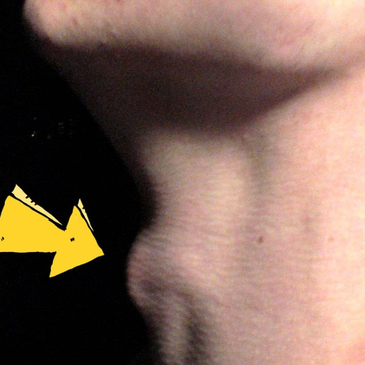 Evrim Ağacı ile Bilime Dair Her Şey!