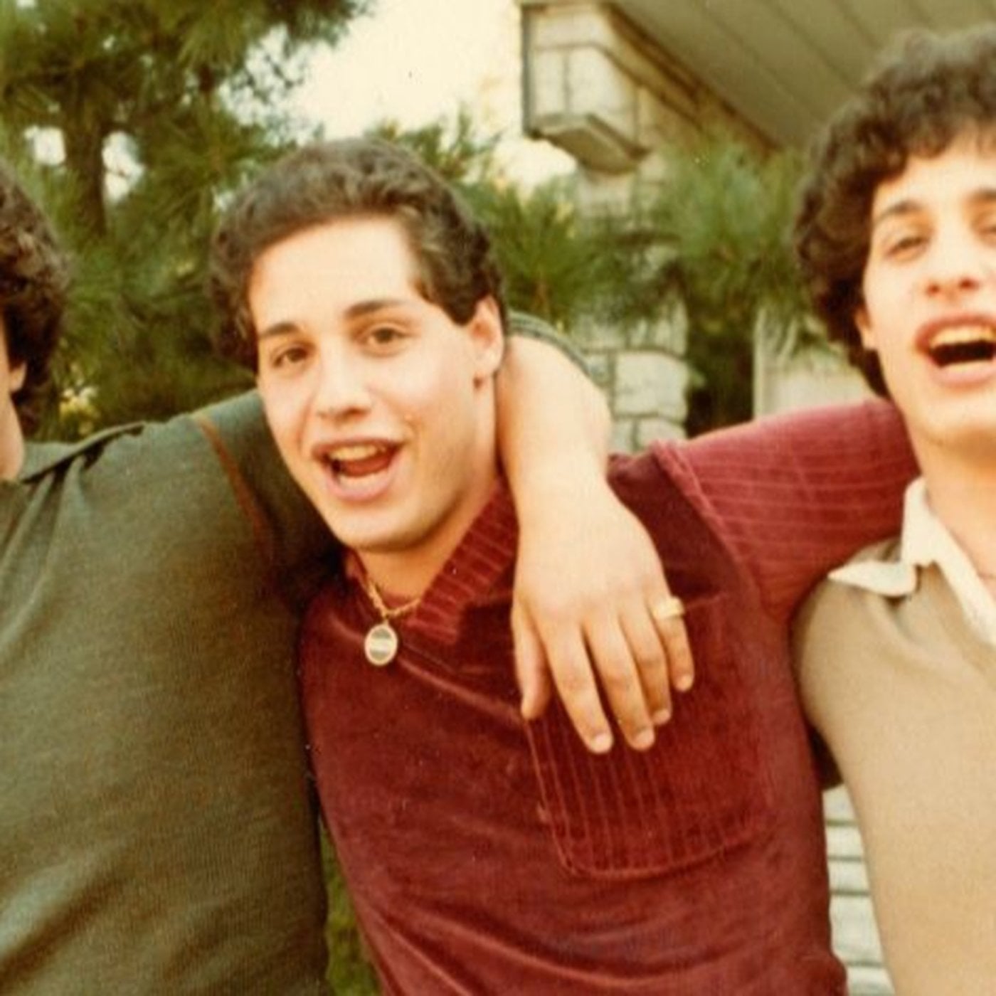 Evrim Ağacı ile Bilime Dair Her Şey!