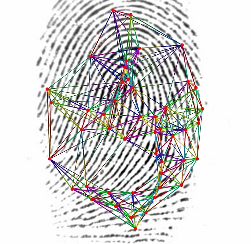 Benzer kenarlara sahip parmak izi işaretleyicileri (minutiae), benzer renklerle işaretlenmiştir.
