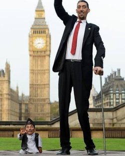 İnsanlarda boy uzunluğu ile zeka düzeyi arasında genetik bir bağlantı var mıdır?