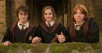 Harry Potter series officially confirms 6 'extraordinary' stars joining reboot