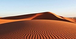 Çölleri az su ile yetişebilen bitki ve ağaçlar ile doldurduk bu iklimde değişiklik yaratır mı? Çölleri ormana çevirmek ekosistemi bozar mı?