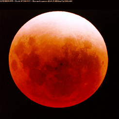 A Lucky Lunar Eclipse