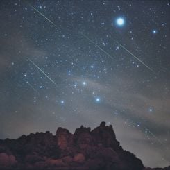 Leonids Over Joshua Tree National Park