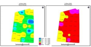 Deep Soil Nitrate Reservoirs Significantly Alter Global Nitrogen Budgets