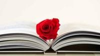 Feliz Día del Libro y la Rosa. ¿Por qué se celebra el 23 de abril?
