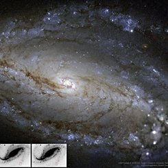  NGC 613 in Dust, Stars, and a Supernova 
