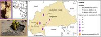 Fermenting shea nuts using the traditional pit method yields better physicochemical properties with potential environmental benefits - Scientific Reports