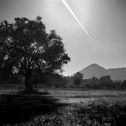  The Moon Entering Earth's Shadow 