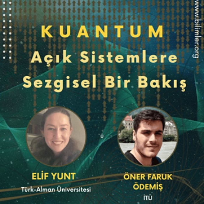 Kuantum Açık Sistemlere Sezgisel Bir Bakış