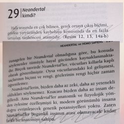Neandertaller kuzenimiz mi atamız mı?