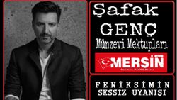 FENİKSİMİN SESSİZ UYANIŞI