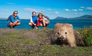 Lions And Sharks Engage Audiences Through Playful Encounters