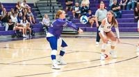 Volleyball Takes Down #15 Otterbein and Baldwin Wallace in Pair of Sweeps - Albion College