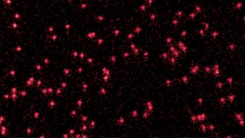 Fizikçiler İlk Kez Kendi Başına Atomların Dalga Gibi Davrandığı Net Bir Görüntü Yakaladı!