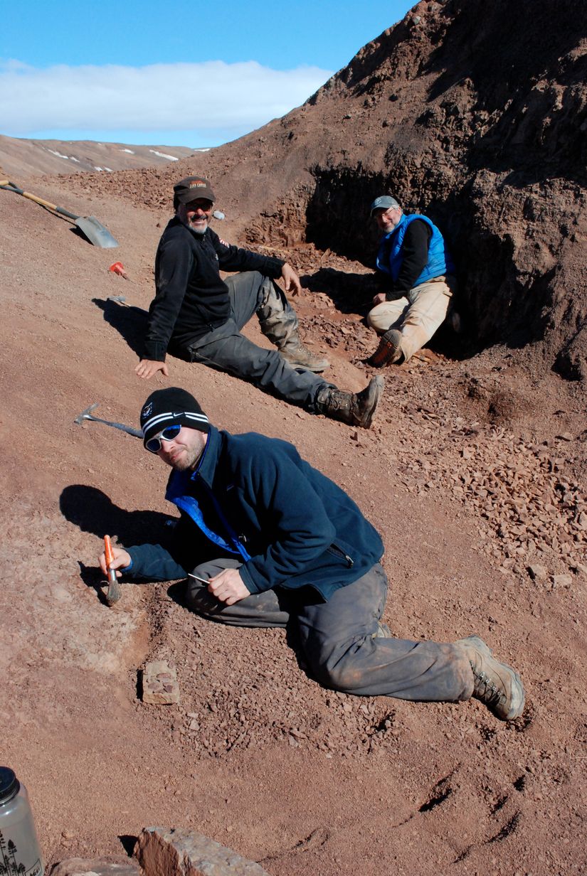 Tiktaalik keşif sahasından bir fotoğraf