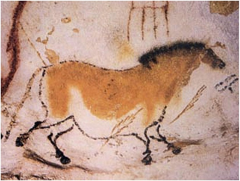 Lascaux Mağarası'ndan Cro-Magnon adamı duvar çizimi