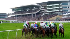 Cheltenham Festival Faces Excitement And Controversy Amid Safety Concerns