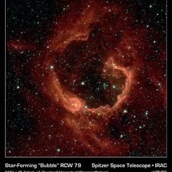 RCW 79: Stars in a Bubble