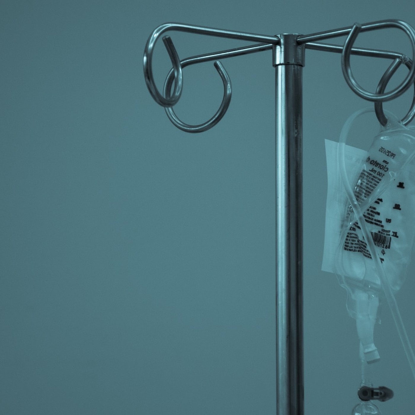 Evrim Ağacı ile Bilime Dair Her Şey!