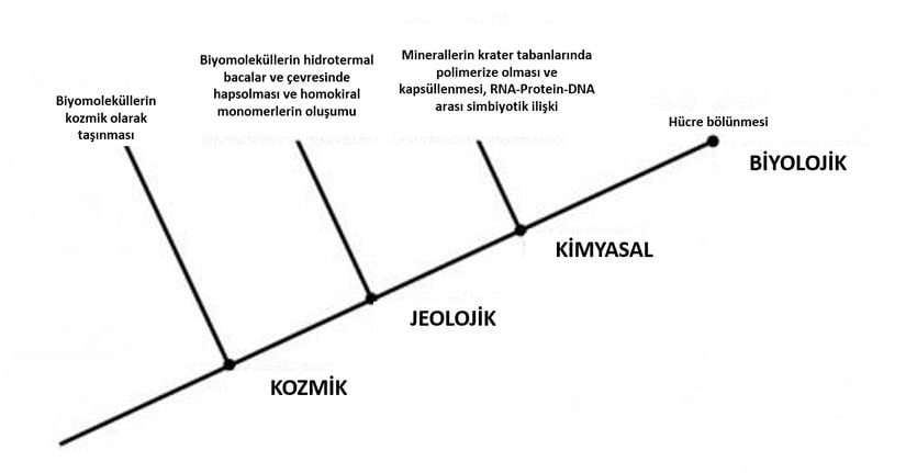 Yaşamın hiyerarşik oluşumu... Tarihi Olasılık Tutumluluğu ilkesi, yaşamın başlangıcıyla ilgili açıklamalar arasında en az sayıda varsayıma dayananı seçer. Görsel Evrim Ağacı tarafından Türkçeleştirilmiştir.