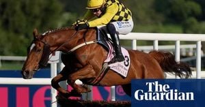 State Man Dominates Punchestown Champion Hurdle Again