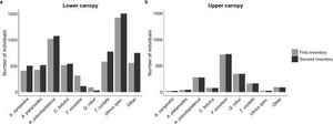 Altered Hydrology And Pathogens Transform European Floodplain Forests