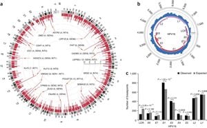 Intratumor Heterogeneity Revealed In HPV-Associated Head And Neck Cancer