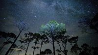 Michigan skies to feature rare black moon. Will it be visible?