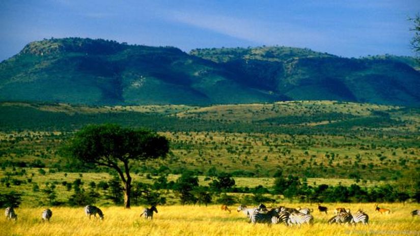 Modern insanlar, Afrika savanlıklarında ortaya çıkmıştır.