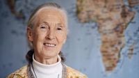 Jane Goodall, legendary primatologist, has died at age 91