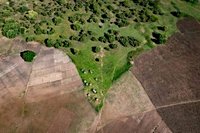 Africa climate resilience: Vatican calls for local action