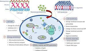 Innovative Nanoemulsion From Cananga Odorata Enhances Herbicidal Effectiveness