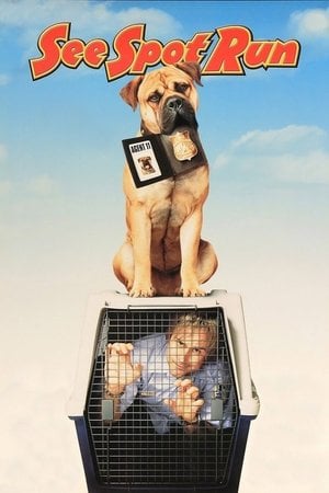 Harika Köpek Spot