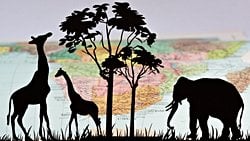 Evrim Mekanizmaları - 2: Doğal Seçilim