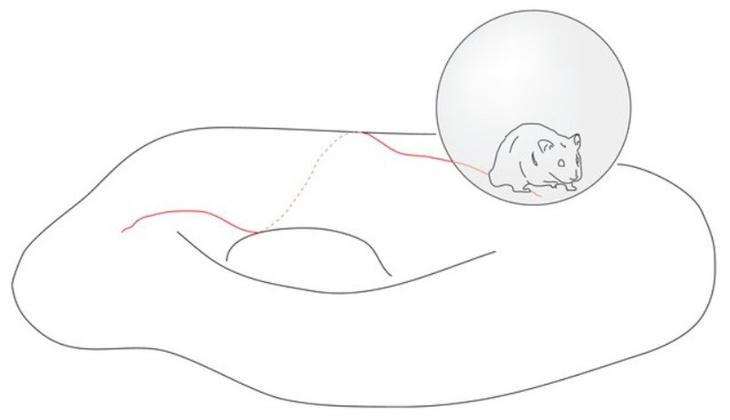 Cartan geometrisinin genel fikri ve anlaşılır görselleştirmesi