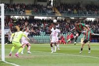 Ternana-Perugia 0-0, derby stregato per le Fere - Calcio Ternano