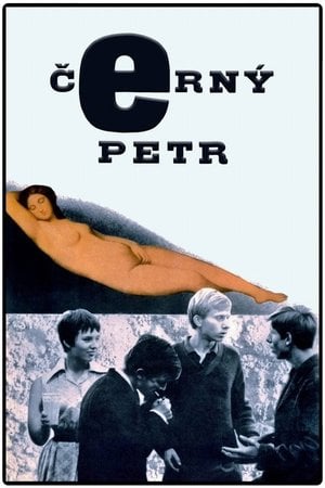 Kara Peter