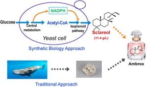 Innovative Yeast Method Transforms Isoprenoid Production