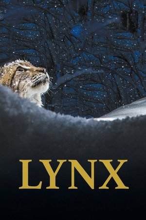 Lynx