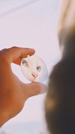 Eğer zaman makineniz olsaydı ve zamanda geri veya ileri gidebilseydiniz o zamandaki insanlara yolculuktan geldiğinizi nasıl kanıtlardınız?