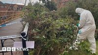 Second murder arrest in Northampton after victim found on bench
