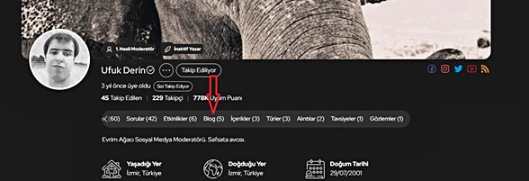 "Bir kullanıcının blog yazısı olmaması hâlinde, profilinde de blog sekmesi gözükmeyecektir."
