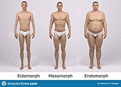 Somatotip (vücut tipleri)  teorisi gerçeği yansıtıyor mu?