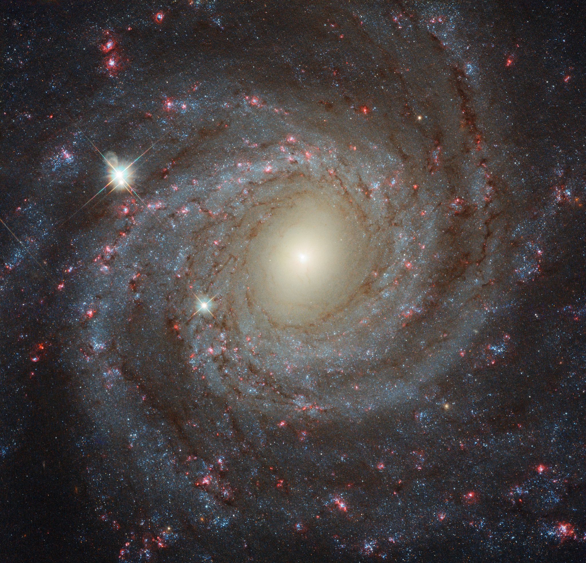  Facing NGC 3344 