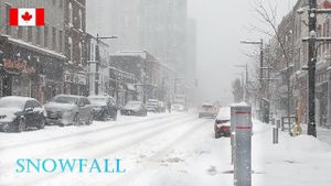 Ontario Issues Winter Weather Travel Advisory For Ottawa